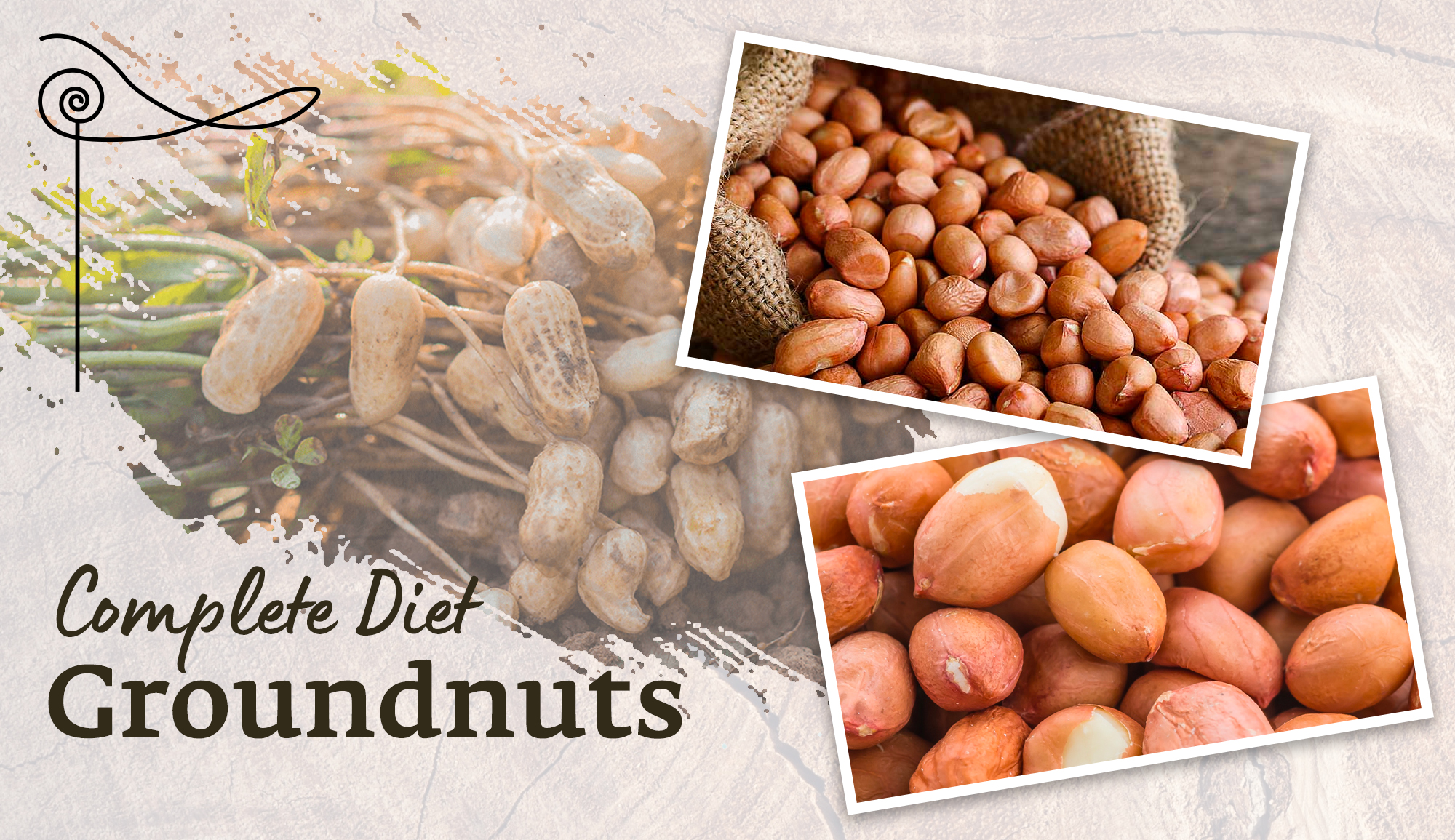 Groundnuts Blog 2 Groundnuts Recipes to Satisfy Your Cravings for Something Nutty and Delicious groundnuts Natural Food Blog | Isha Life Bringing Yogic Wisdom into Your Everyday Life March 5, 2025 March