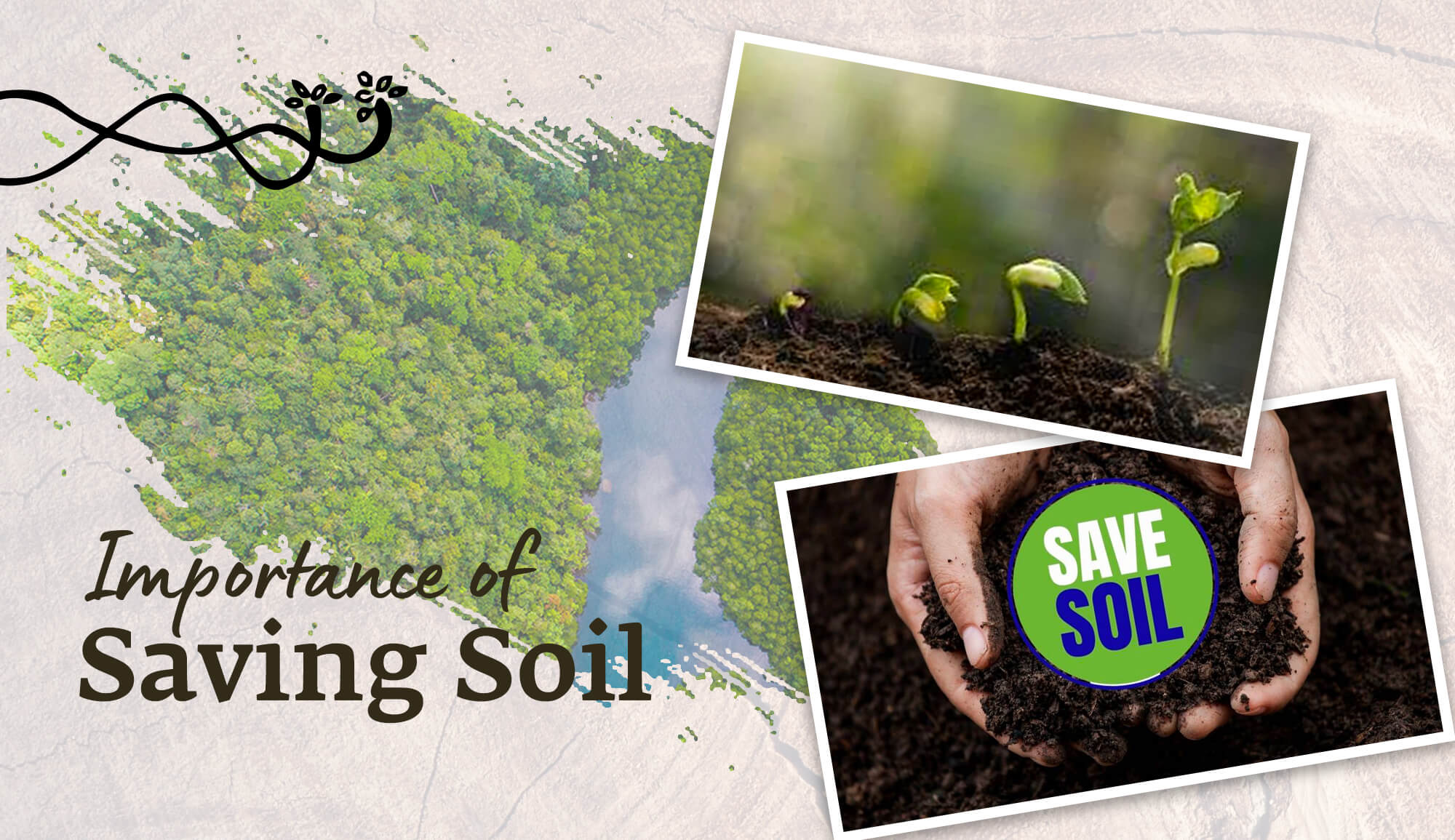 Save soil Blog Archive Don’t Wait for Tomorrow – Save the Soil Today and Secure Our Future! Save Soil save soil Blog | Isha Life Bringing Yogic Wisdom into Your Everyday Life March 5, 2025 March